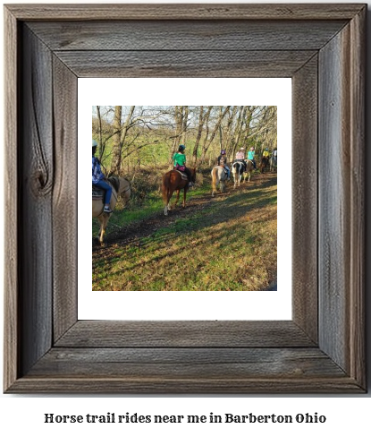 horse trail rides near me in Barberton, Ohio